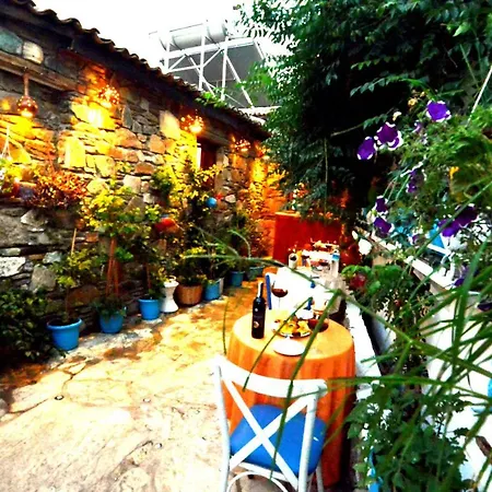 Homestay Sirincem