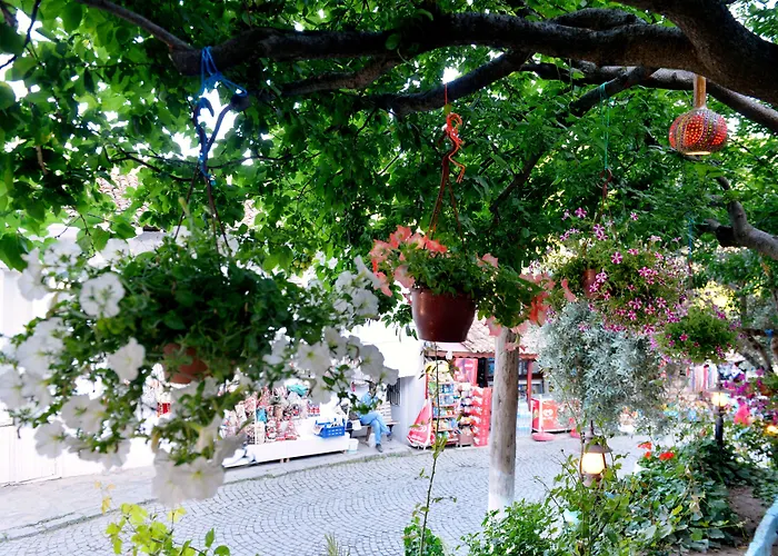 Sirincem Gazde/Camere de închiriat *