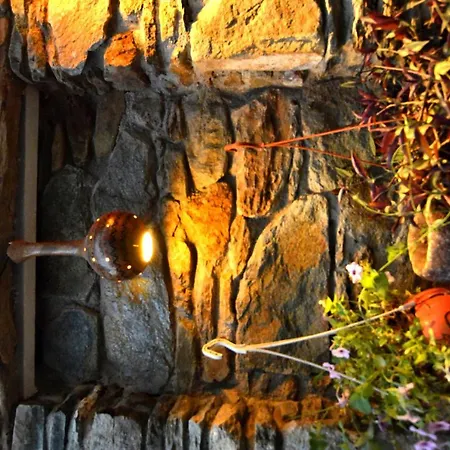 Проживание в семье Sirincem *