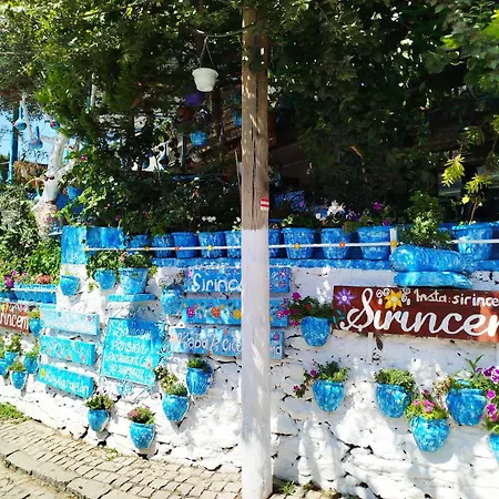 Sirincem Selçuk