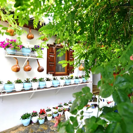Gazde/Camere de închiriat Sirincem Selçuk