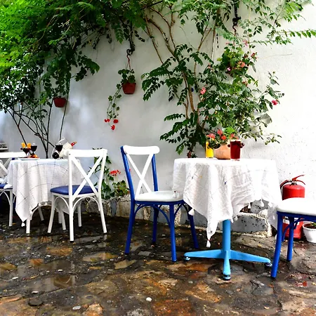 Sirincem Selçuk