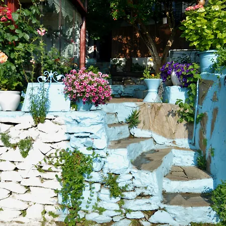 Sirincem * سلجوك