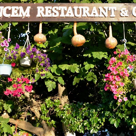 Sirincem * سلجوك