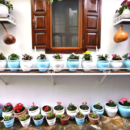 Sirincem Сельчук