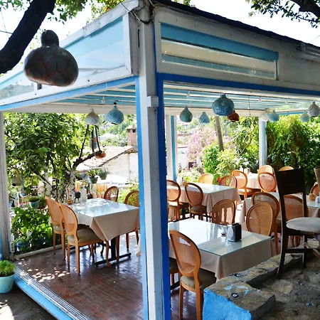 Sirincem * Сельчук