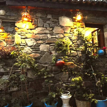 Проживание в семье Sirincem *