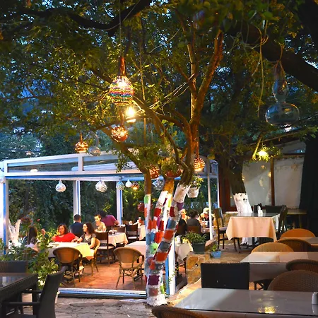 Sirincem Проживание в семье