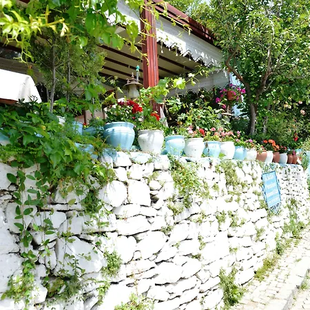 Sirincem Gazde/Camere de închiriat Selçuk